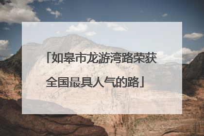 如皋市龙游湾路荣获全国最具人气的路