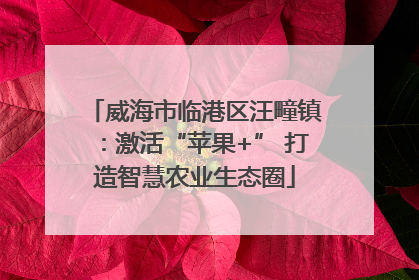 威海市临港区汪疃镇：激活“苹果+” 打造智慧农业生态圈