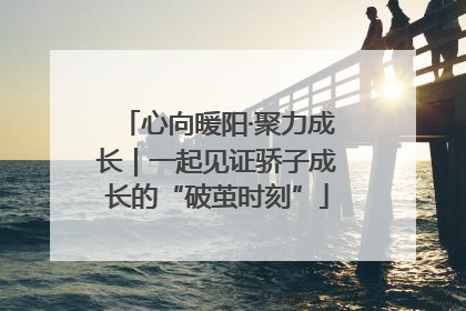 心向暖阳·聚力成长｜一起见证骄子成长的“破茧时刻”