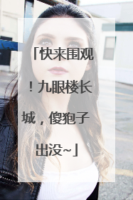 快来围观！九眼楼长城，傻狍子出没~