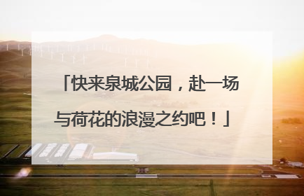 快来泉城公园，赴一场与荷花的浪漫之约吧！