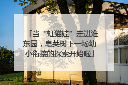 当“虹猫娃”走进淮东园，皂荚树下一场幼小衔接的探索开始啦
