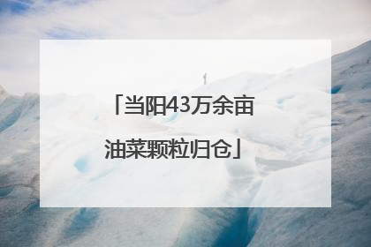 当阳43万余亩油菜颗粒归仓