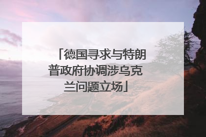 德国寻求与特朗普政府协调涉乌克兰问题立场