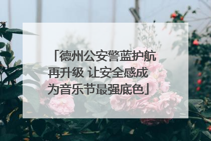 德州公安警蓝护航再升级 让安全感成为音乐节最强底色