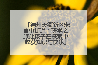 德州天衢新区宋官屯街道：研学之旅让孩子在探索中收获知识与快乐