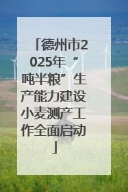 德州市2025年“吨半粮”生产能力建设小麦测产工作全面启动