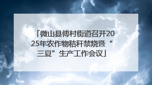 微山县傅村街道召开2025年农作物秸秆禁烧暨“三夏”生产工作会议