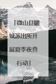 微山县驩城派出所开展夏季夜查行动