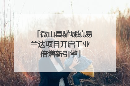 微山县驩城镇易兰达项目开启工业倍增新引擎