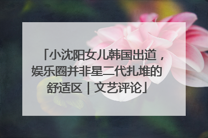 小沈阳女儿韩国出道，娱乐圈并非星二代扎堆的舒适区｜文艺评论
