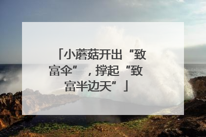 小蘑菇开出“致富伞”，撑起“致富半边天”