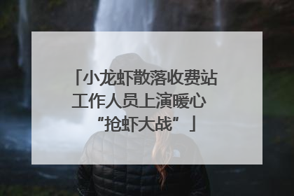 小龙虾散落收费站 工作人员上演暖心“抢虾大战”
