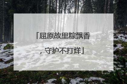屈原故里粽飘香，守护不打烊