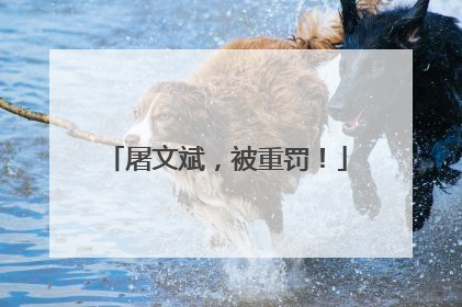 屠文斌，被重罚！
