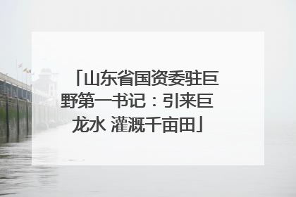 山东省国资委驻巨野第一书记：引来巨龙水 灌溉千亩田
