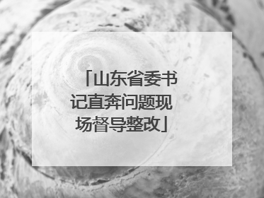 山东省委书记直奔问题现场督导整改