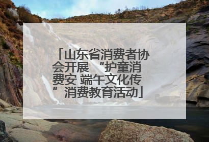 山东省消费者协会开展 “护童消费安 端午文化传”消费教育活动