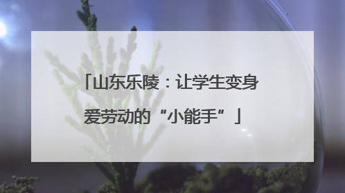 山东乐陵：让学生变身爱劳动的“小能手”