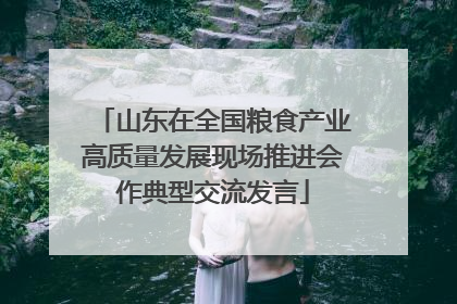 山东在全国粮食产业高质量发展现场推进会作典型交流发言