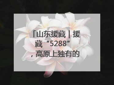 山东援藏｜援藏“5288”，高原上独有的“烟台浪漫”