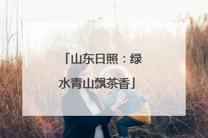 山东日照：绿水青山飘茶香