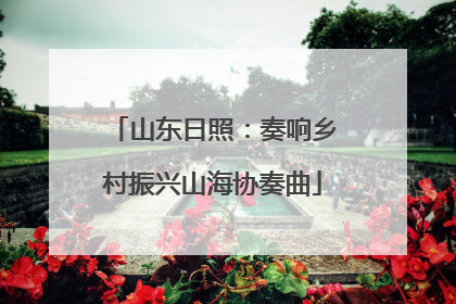山东日照：奏响乡村振兴山海协奏曲