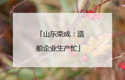 山东荣成：造船企业生产忙