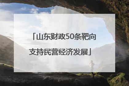 山东财政50条靶向支持民营经济发展