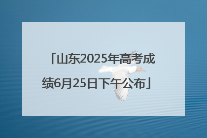山东2025年高考成绩6月25日下午公布