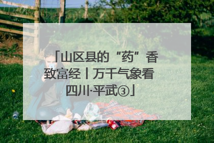 山区县的“药”香致富经丨万千气象看四川·平武③