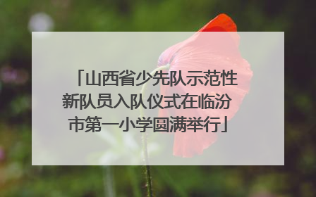山西省少先队示范性新队员入队仪式在临汾市第一小学圆满举行