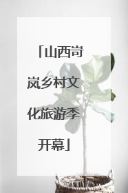 山西岢岚乡村文化旅游季开幕