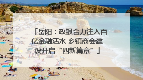 岳阳：政银合力注入百亿金融活水 乡镇商会建设开启“四新篇章”