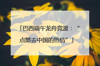 巴西端午龙舟竞渡：“点燃去中国的热情”
