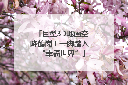 巨型3D地画空降鹤岗！一脚踏入“幸福世界”