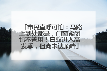 市民直呼可怕：马路上到处都是，门窗紧闭也不管用！白蚁进入高发季，但尚未达顶峰