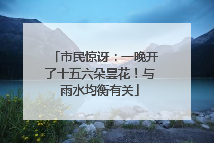 市民惊讶：一晚开了十五六朵昙花！与雨水均衡有关