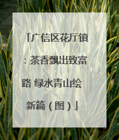 广信区花厅镇：茶香飘出致富路 绿水青山绘新篇（图）