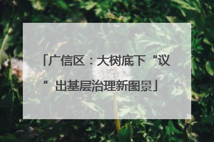 广信区：大树底下“议”出基层治理新图景