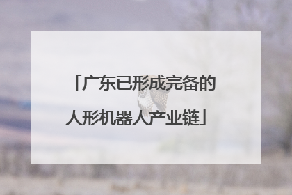 广东已形成完备的人形机器人产业链