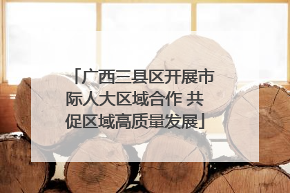 广西三县区开展市际人大区域合作 共促区域高质量发展