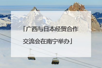 广西与日本经贸合作交流会在南宁举办