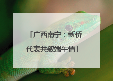 广西南宁：新侨代表共叙端午情