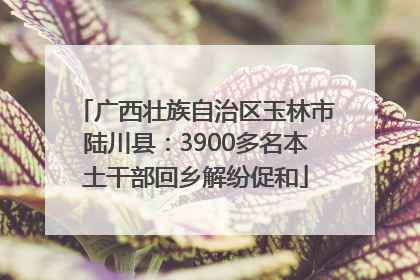 广西壮族自治区玉林市陆川县：3900多名本土干部回乡解纷促和