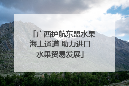 广西护航东盟水果海上通道 助力进口水果贸易发展