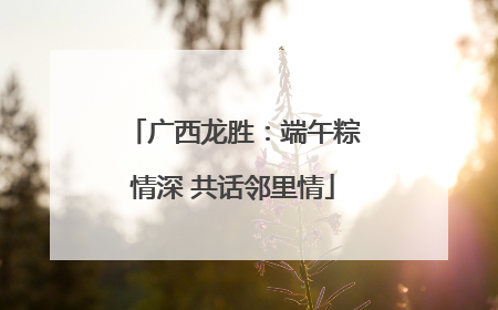 广西龙胜：端午粽情深 共话邻里情