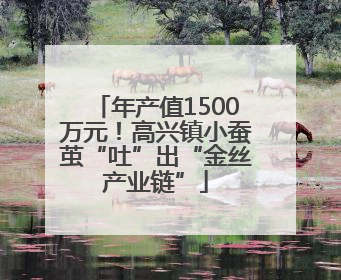 年产值1500万元！高兴镇小蚕茧“吐”出“金丝产业链”