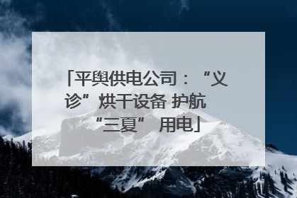 平舆供电公司：“义诊”烘干设备 护航 “三夏” 用电