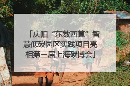 庆阳“东数西算”智慧低碳园区实践项目亮相第三届上海碳博会